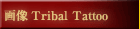 �^�g�D�[�f�U�C��/tatoo/�h�̉摜-�g���C�o�� - TRIBAL