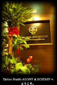 �^�g�D�[(�h��) �f�U�C�� ��TATTOO STUDIO AGONY & ECSTASY�X�^�W�I�����