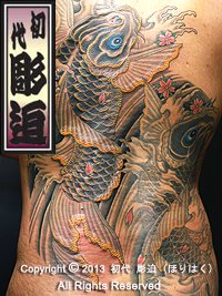 背中に真鯉と桜の刺青画像【エゴニー アンド エクスタシー タトゥーデザインスタジオ】彫迫