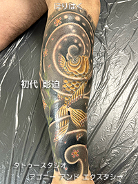 ふくらはぎに金魚の出目金と桜と水草と藻と水面の額の刺青画像【エゴニー アンド エクスタシー タトゥーデザインスタジオ】彫迫