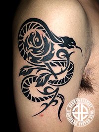 右二の腕に蛇と薔薇のトライバルタトゥー画像【エゴニー アンド エクスタシー タトゥーデザインスタジオ】彫迫