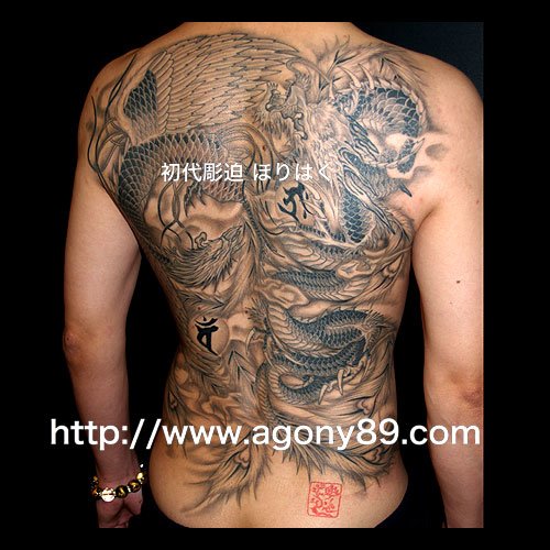 鳳凰と龍の刺青 和彫り1041_2