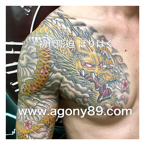 黄金の龍と桜の和彫り1181_2