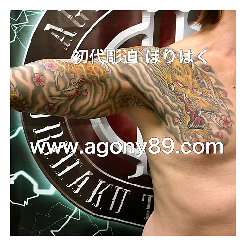 黄金の龍と桜の和彫り1181_6