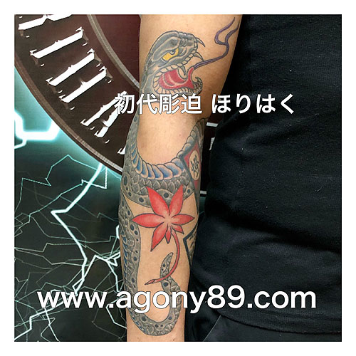 蛇に漢字を入れた花札と紅葉散らしの刺青