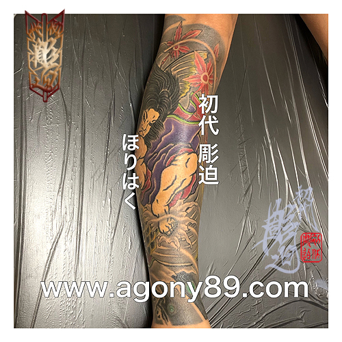 鬼若丸の鯉退治の入れ墨1597_5