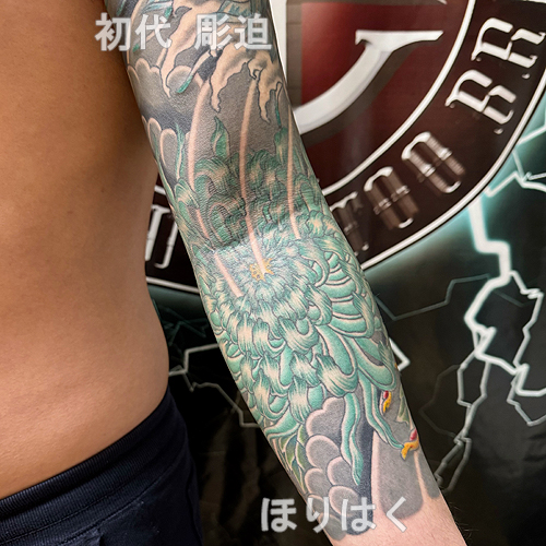 菊と月下美人の花の刺青1645_4