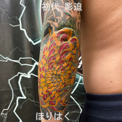 菊と月下美人の花の刺青1645_8