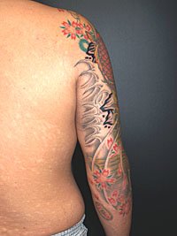 桜の花びらを散らした鯉の和彫り337_4