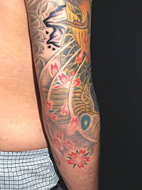 桜の花びらを散らした鯉の和彫り337_7