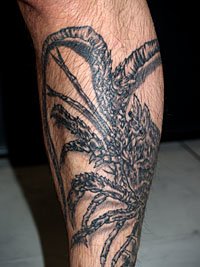 伊勢海老のタトゥー384_3