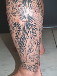 刺青デザイン 虎 画像 / 独眼将虎_8