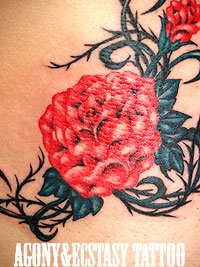 薔薇の花のタトゥー453_3