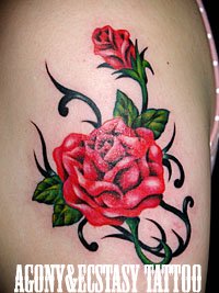 赤い薔薇の花とツボミのタトゥーデザイン画像633_2